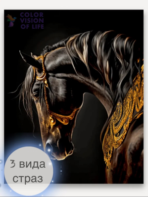 Алмазная мозаика COLOR VISION OF LIFE 