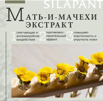 Silapant Фитокрем д/рук туб. 75 мл