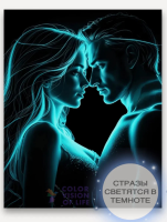 Алмазная мозаика COLOR VISION OF LIFE 