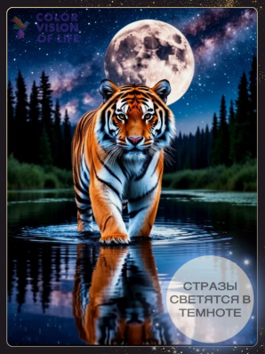 Алмазная мозаика COLOR VISION OF LIFE 