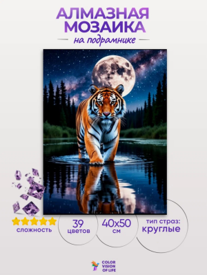 Алмазная мозаика COLOR VISION OF LIFE 