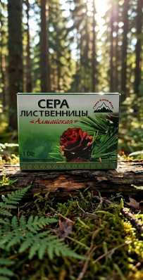 Смолка лиственницы