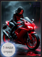 Алмазная мозаика COLOR VISION OF LIFE 