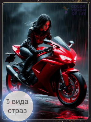 Алмазная мозаика COLOR VISION OF LIFE 