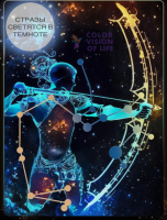 Алмазная мозаика COLOR VISION OF LIFE 