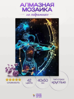 Алмазная мозаика COLOR VISION OF LIFE 