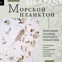 Лифтинг-сыворотка для кожи вокруг глаз силапант