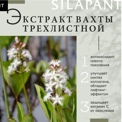 Лифтинг-сыворотка для кожи вокруг глаз силапант