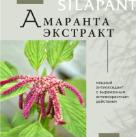 Silapant Крем д/лица ночной лифтинг-восстановление с пантогематогеном туб. 50 мл пач. картон.1