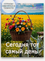Алмазная мозаика COLOR VISION OF LIFE 