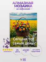 Алмазная мозаика COLOR VISION OF LIFE 