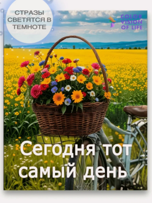 Алмазная мозаика COLOR VISION OF LIFE 